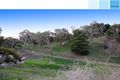 Property photo of 11 Pellew Avenue Auldana SA 5072