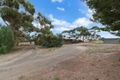 Property photo of 138 Kalbeeba Road Concordia SA 5118