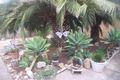 Property photo of 13 Sherwood Avenue Salisbury East SA 5109