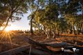 Property photo of 49 Wanderer Circuit Wollert VIC 3750