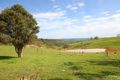 Property photo of 213 Cut Hill Road Kangarilla SA 5157