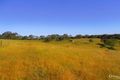 Property photo of 213 Cut Hill Road Kangarilla SA 5157