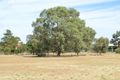 Property photo of 12 Arthur Road Roseworthy SA 5371