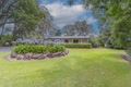 Property photo of 1617 Kerry Road Kerry QLD 4285