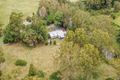 Property photo of 1617 Kerry Road Kerry QLD 4285