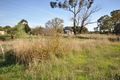 Property photo of 71 Pascoe Street Avoca VIC 3467