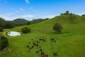 Property photo of 6 Ringtail Road Stokers Siding NSW 2484