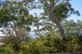 Property photo of 56 Dacres Street Vincentia NSW 2540