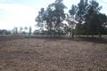 Property photo of 33 Matilda Circle Morpeth NSW 2321