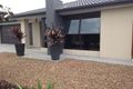 Property photo of 15 Undarra Street Pimpama QLD 4209