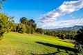 Property photo of 1 Stuckey Close Willow Vale QLD 4209