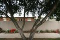 Property photo of 18 Erin Street Broadview SA 5083