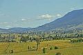 Property photo of 140 Gap Flat Road Allans Flat VIC 3691