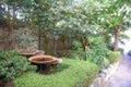 Property photo of 44 George Street Fitzroy VIC 3065