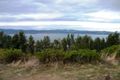 Property photo of 1/54 Nicholas Drive Sandy Bay TAS 7005