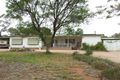 Property photo of 100 Bassham Road Barmera SA 5345