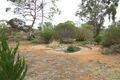 Property photo of 100 Bassham Road Barmera SA 5345