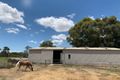 Property photo of 137 River Road Swan Hill VIC 3585