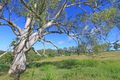 Property photo of 448 Dunoon Road Tullera NSW 2480
