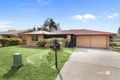 Property photo of 24 Nepeta Street Runcorn QLD 4113