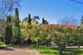 Property photo of 17 Forster Road Katoomba NSW 2780