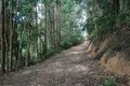 Property photo of 175 Pages Road Calder TAS 7325