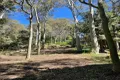 Property photo of 56 Florence Terrace Scotland Island NSW 2105