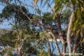 Property photo of 3 Bonnie Troon Close Dolphin Point NSW 2539