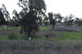 Property photo of 2754 Leyburn-Cunningham Road Pratten QLD 4370