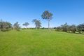 Property photo of 16 Frances Dun Close Duns Creek NSW 2321