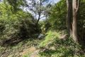 Property photo of 64 Laytons Range Road Nymboida NSW 2460