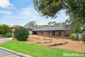 Property photo of 3 Carnarvon Avenue Redwood Park SA 5097