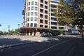 Property photo of 113/1 Brown Street Ashfield NSW 2131