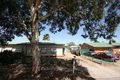 Property photo of 64 Shakespeare Avenue Plympton Park SA 5038