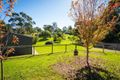 Property photo of 3 Smith Street Wolumla NSW 2550