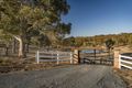 Property photo of 100 Whiskers Creek Road Carwoola NSW 2620