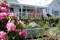 Property photo of 49 Esplanade Lindisfarne TAS 7015