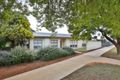 Property photo of 131 Jacaranda Street Red Cliffs VIC 3496