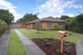 Property photo of 3 Geordy Close Wantirna South VIC 3152