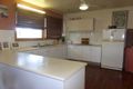 Property photo of 19 Riley Street South Innisfail QLD 4860