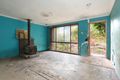 Property photo of 138 Hall Parade Hazelbrook NSW 2779