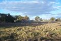 Property photo of 21 Pethers Road Grong Grong NSW 2652