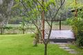 Property photo of 43 Mandalay Street Fig Tree Pocket QLD 4069