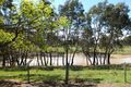Property photo of 40 Vinoca Road Avoca VIC 3467