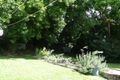 Property photo of 16 Romani Ashgrove QLD 4060