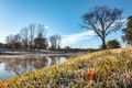 Property photo of 5 Kilpa Street Stanthorpe QLD 4380