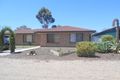 Property photo of 146 Adelaide Road Murray Bridge SA 5253