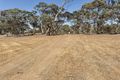 Property photo of 39 Robinson Road Stanley Flat SA 5453
