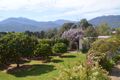 Property photo of 81-83 Kiewa Valley Highway Tawonga South VIC 3698