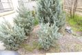 Property photo of 290A Guildford Road Maylands WA 6051